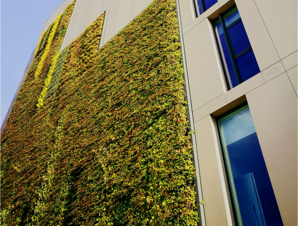 Grüne Gebäude: Ökosysteme in der Architektur